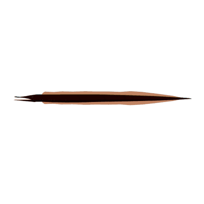 Sapflow Eel