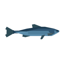 Sardine