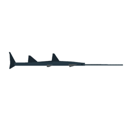Sawfish