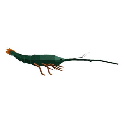 Scalloped Spiny Lobster