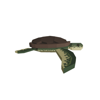 Sea Turtle