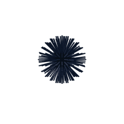 Sea Urchin
