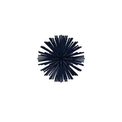 Sea Urchin