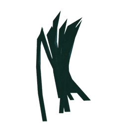 Seaweed