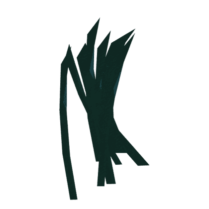 Seaweed