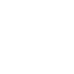 Shadow Egg