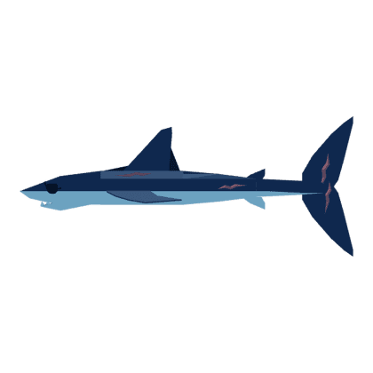 Shortfin Mako Shark