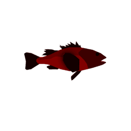 Shortspine Thornyhead
