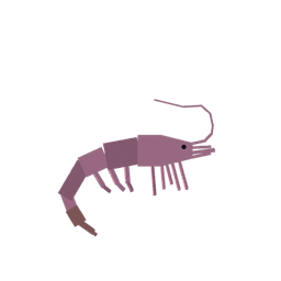 Shrimp