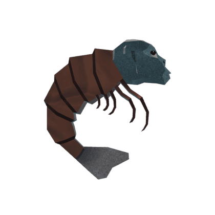 Shrimpanzee