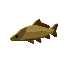 Silt-Crusted Carp