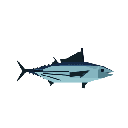 Skipjack Tuna