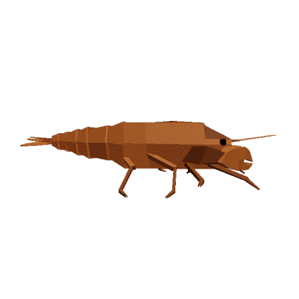Slipper Lobster
