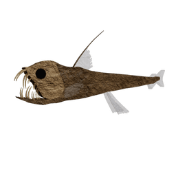 Sloane's Viperfish