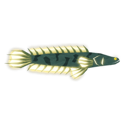 Snakehead