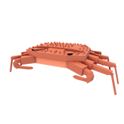 Snow Crab