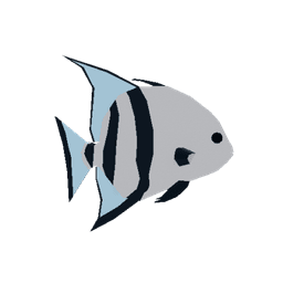 Spadefish