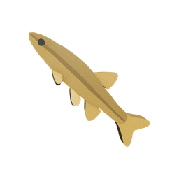 Sparkfin Minnow