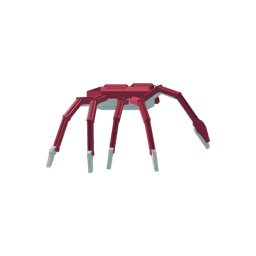 Spider Crab
