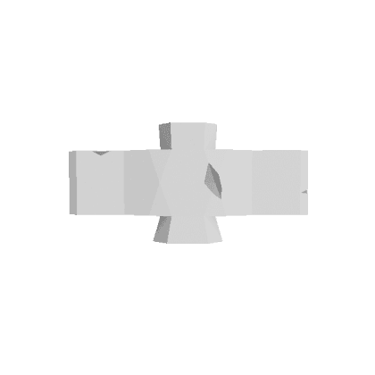 Spine Bone
