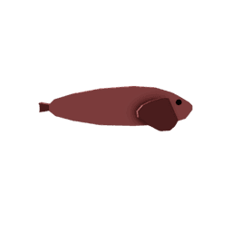 Spiny Snailfish