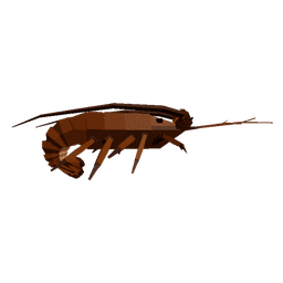 Spiny Sunstone Lobster