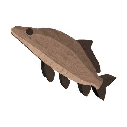 Splinterfin Carp