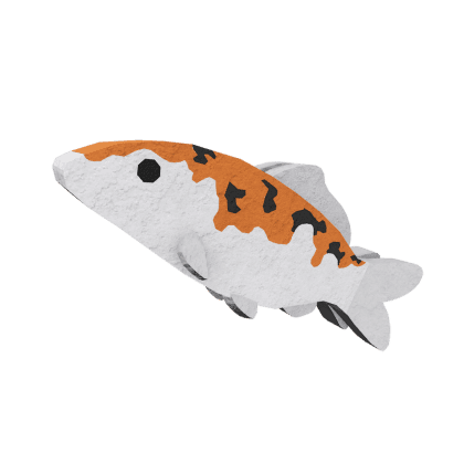 Splitfin Koi