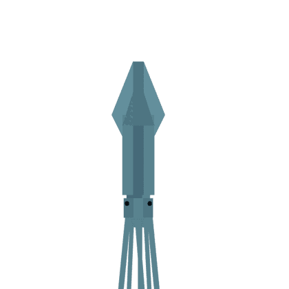 Squid