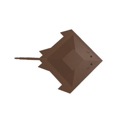 Stingray