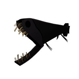 Stoplight Loosejaw