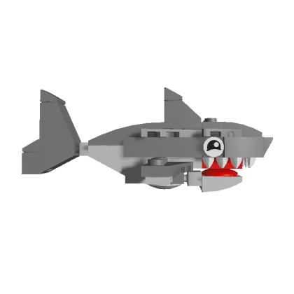 Stud Shark