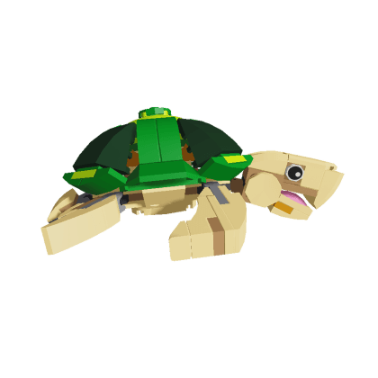 Stud Turtle