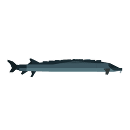 Sturgeon