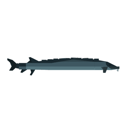 Sturgeon