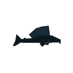 Suckermouth Catfish