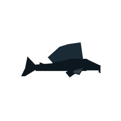 Suckermouth Catfish