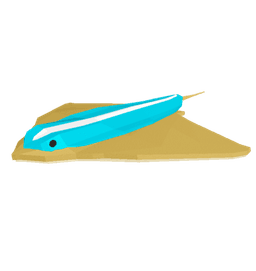 Surfboard Ray