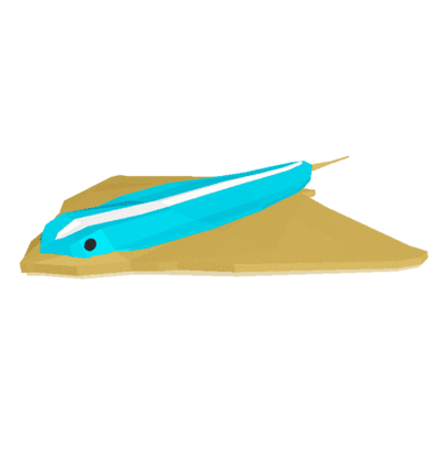 Surfboard Ray