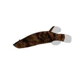 Swampfish