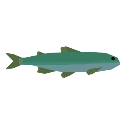Sweetfish