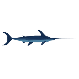 Swordfish