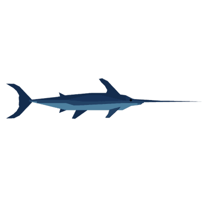 Swordfish