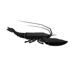 Terrapin Lobster