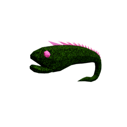 Thorn Ribbon Eel