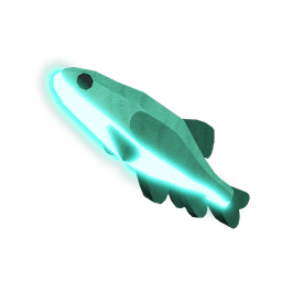 Tidepool Minnow