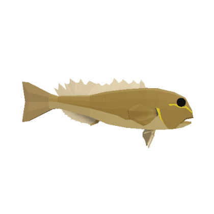 Tilefish