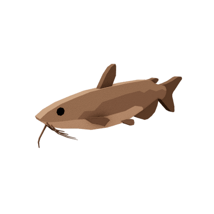 Torrential Catfish