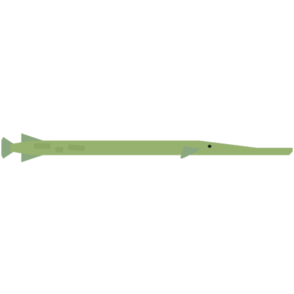 Trumpetfish