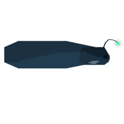 Twilight Eel